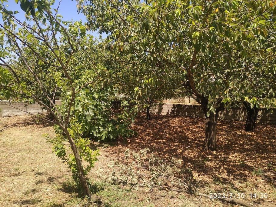 Ferienwohnung Ταξίδι Στον Χρόνο & Την Ιστορία Dodoni Exterior foto